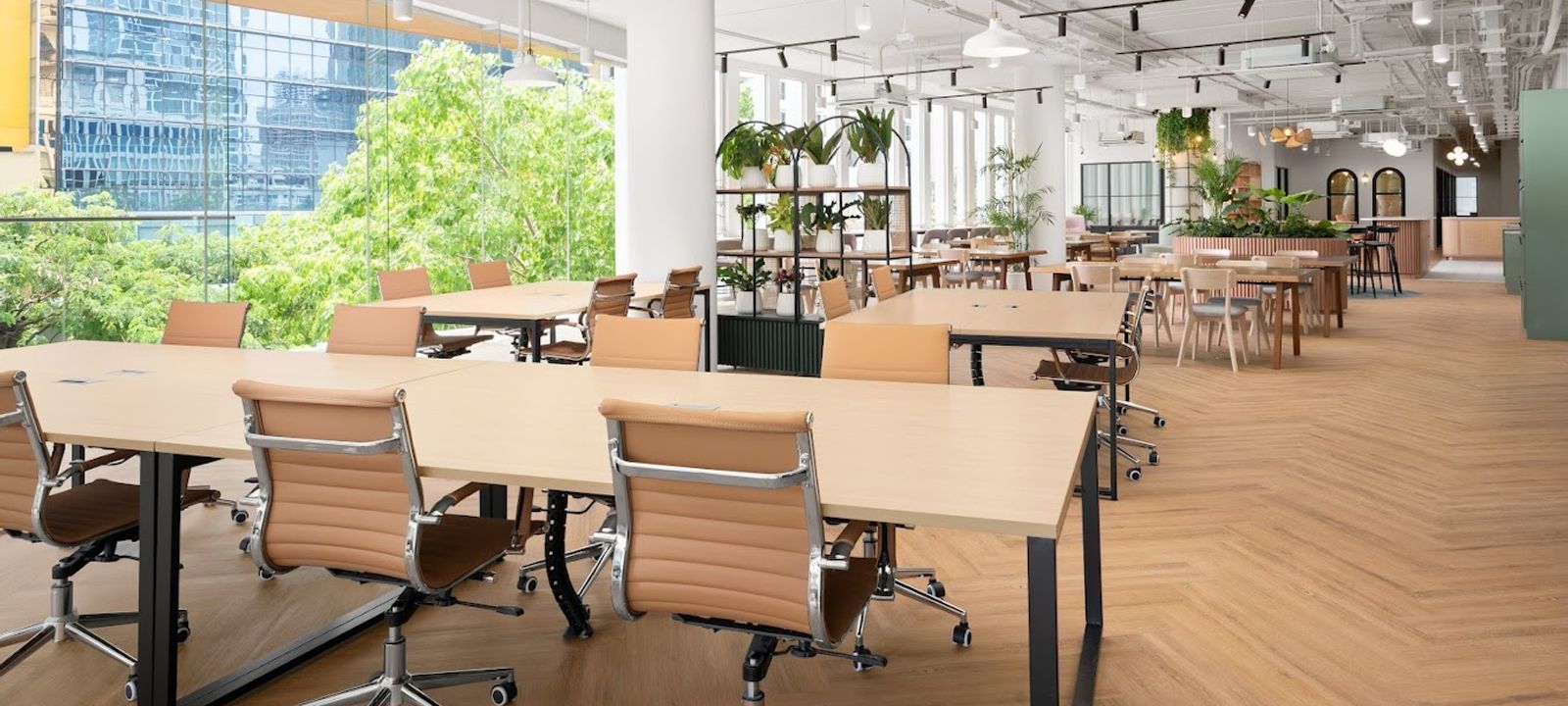 Phloen Chit Road Lumphini, Bangkok - Image 1