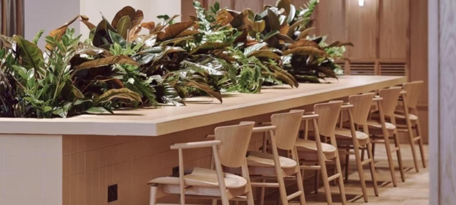 12 Red Lion Square, Holborn - Image 1