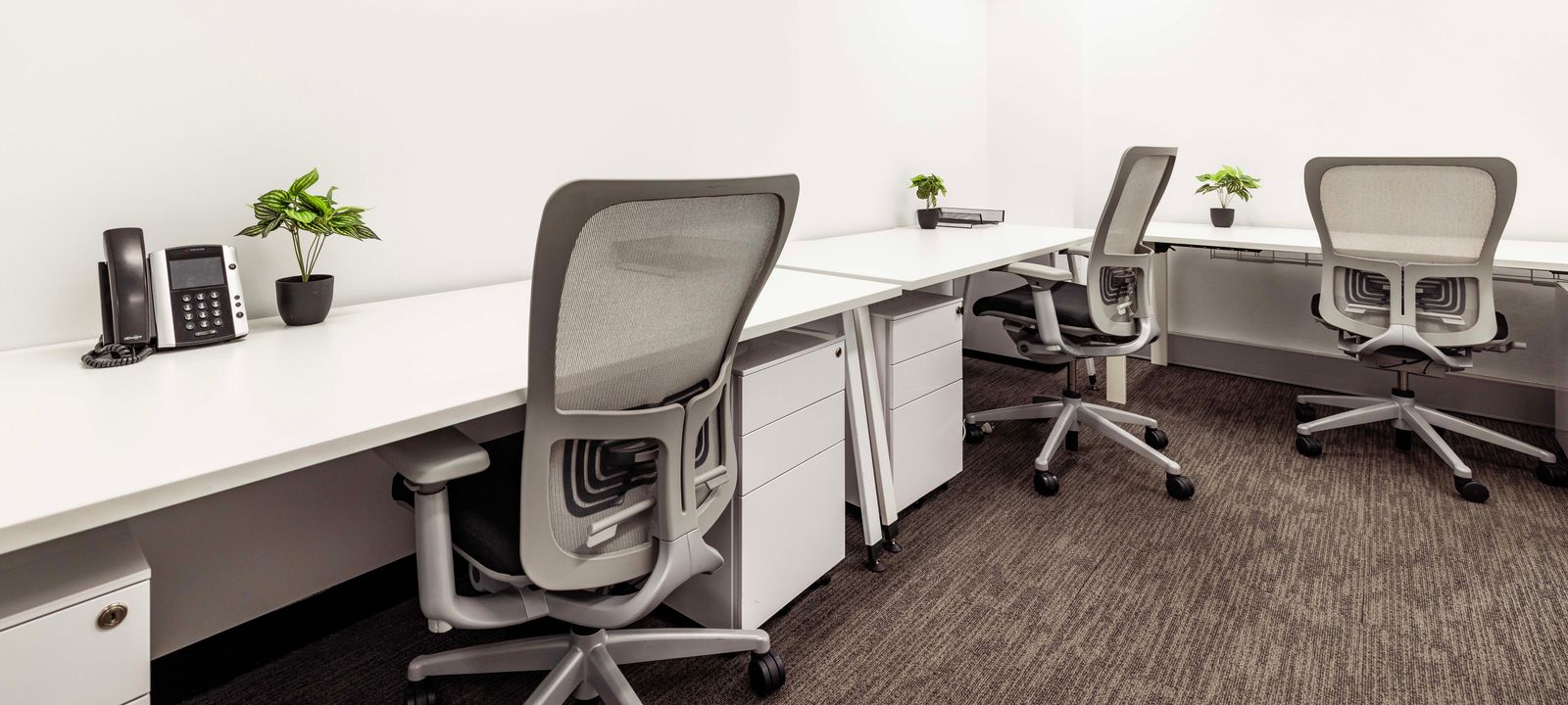 111 Elizabeth Street, Sydney - Image 1