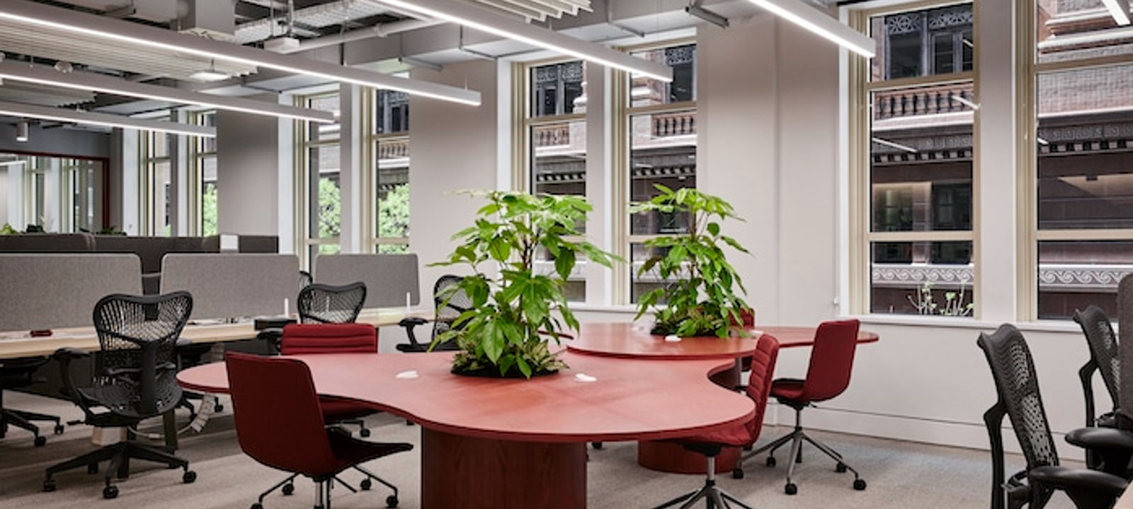 44 Martin Place, Sydney - Image 1