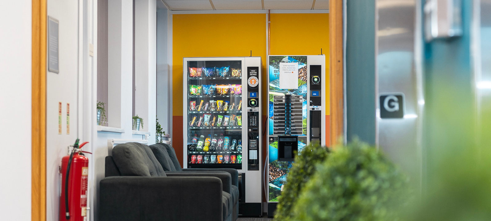 Castlemill, Burnt Tree - Image 1