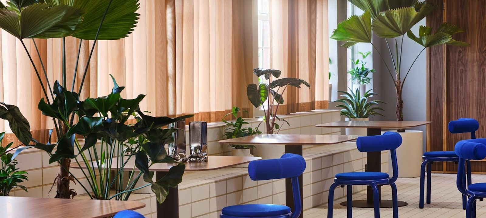 Douglas House - Image 1