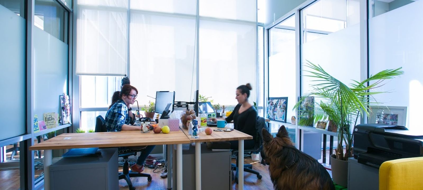 147 Prince Street, Downtown Brooklyn - Image 1