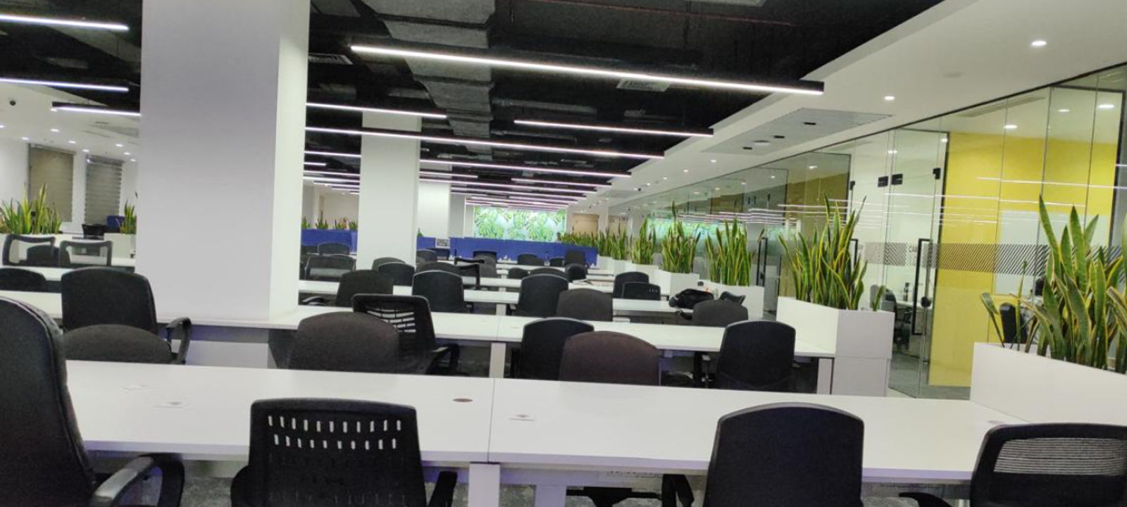 A-61 Sector 63, Noida - Image 1