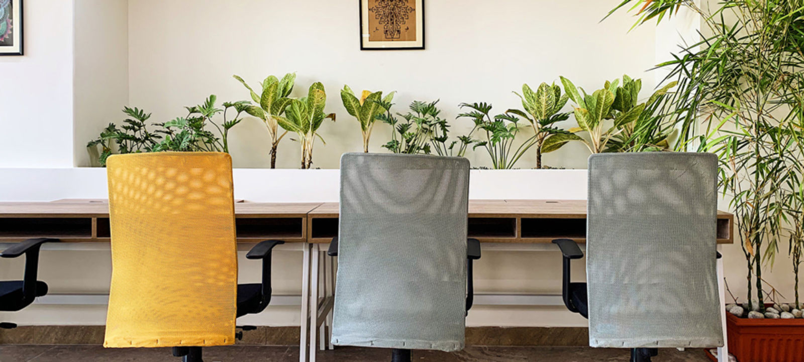 4th Floor Mall Of Mysore Nazrabad Mohalla, Mysuru - Image 1