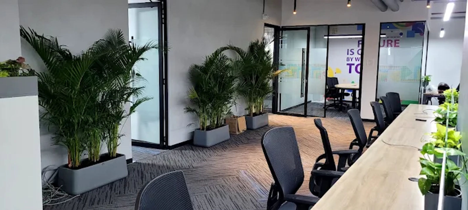 Capital Pk Rd Vip Hills Silicon Valley Madhapur, Hyderabad - Image 1