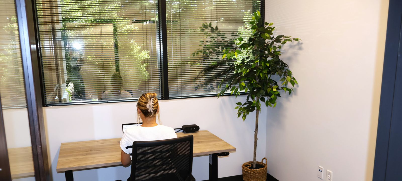 216 Centerview Drive, Brentwood - Image 1