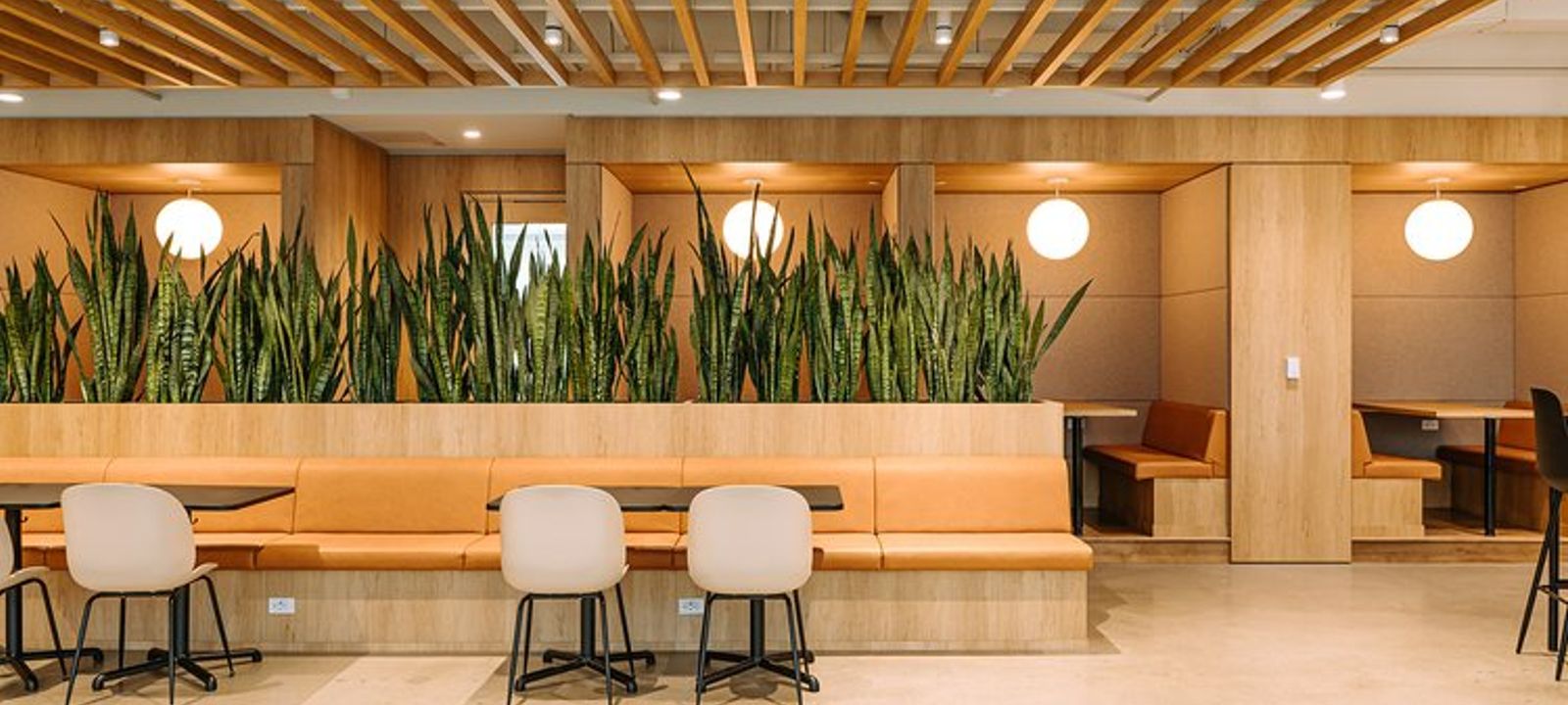 413 Saint-jacques Street, Montreal - Image 1