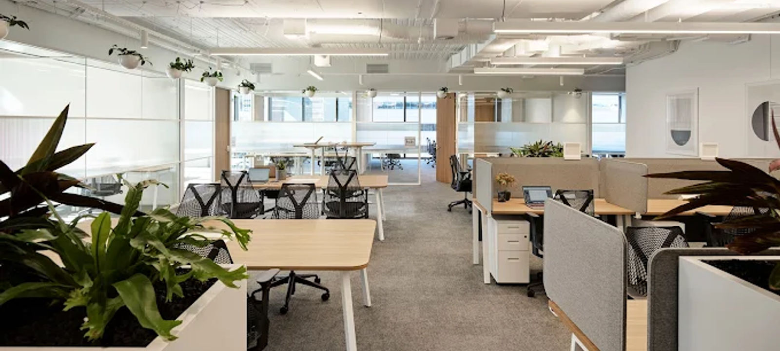 10 Carrington Street, Sydney - Image 1