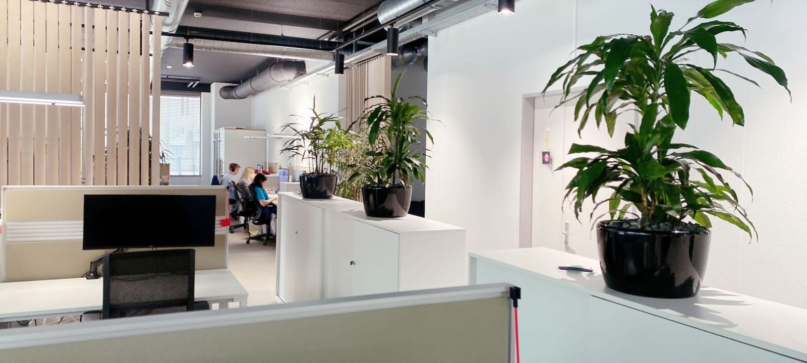 61 Seilergraben, Zürich - Image 1