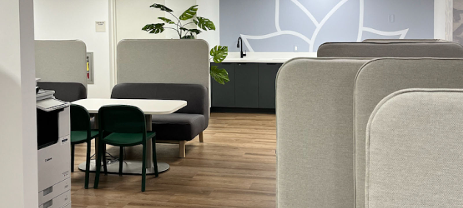 950 Franklin Ave, Garden City - Image 1