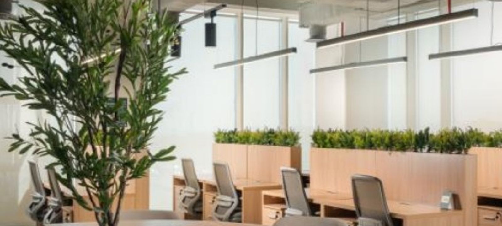 220 Person Managed Space at Qurtubah, Riyadh | Office Hub
