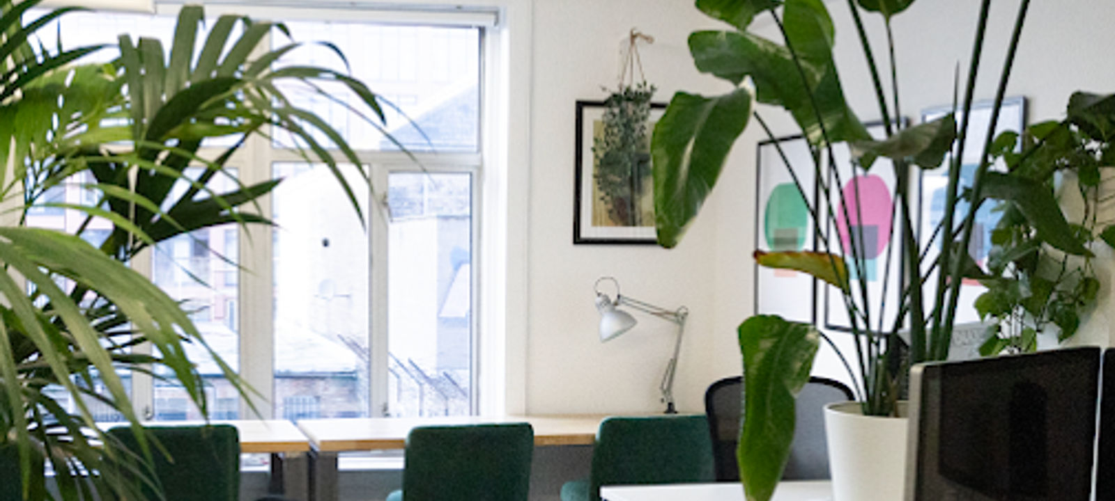 Camden Street Lower Saint Kevin's, Dublin - Image 1