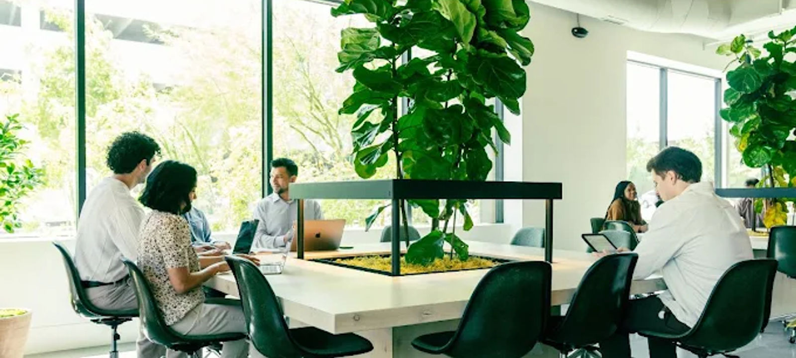 7300 Lone Star Drive, Plano - Image 1