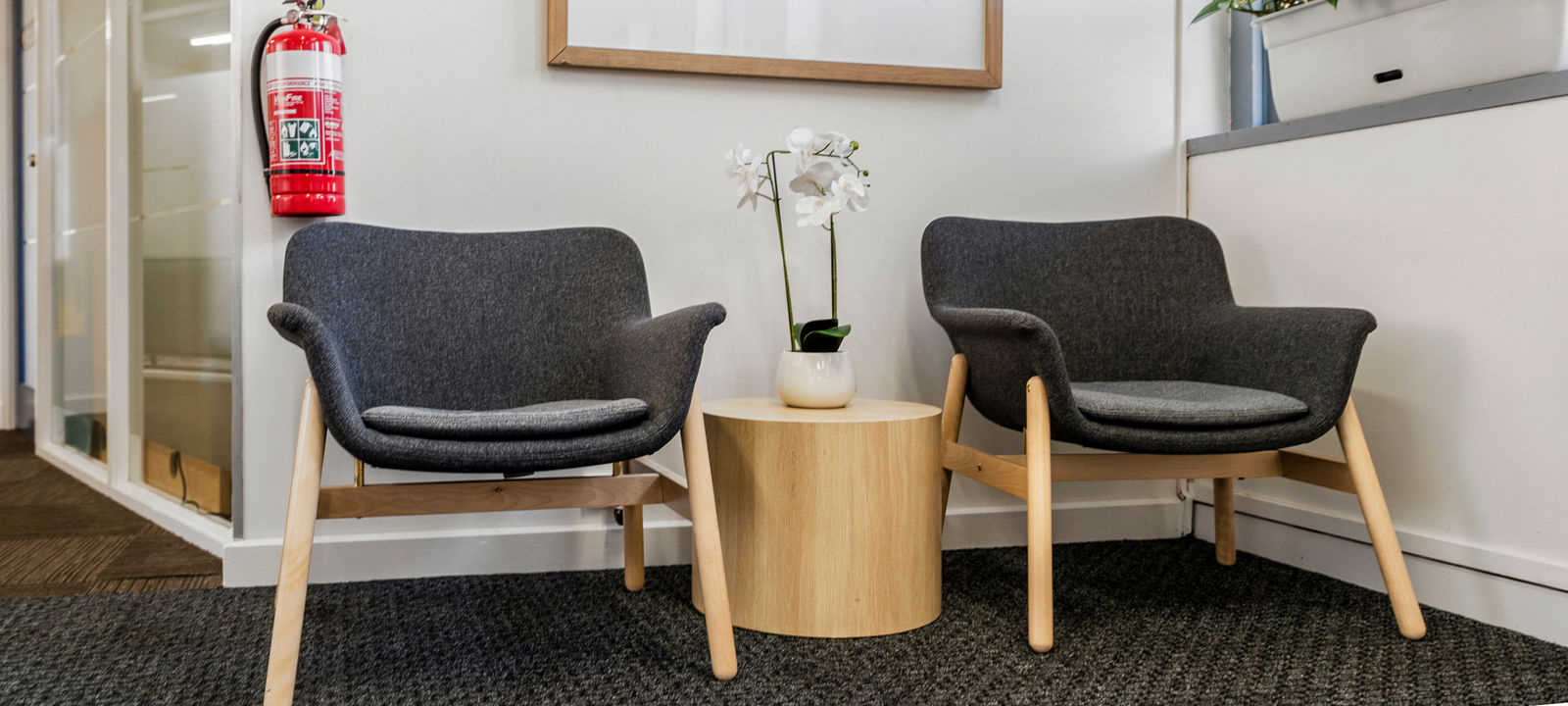 239 Magill Road, Maylands - Image 1