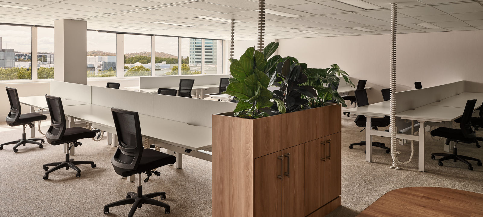 4 Mort Street, Canberra - Image 1