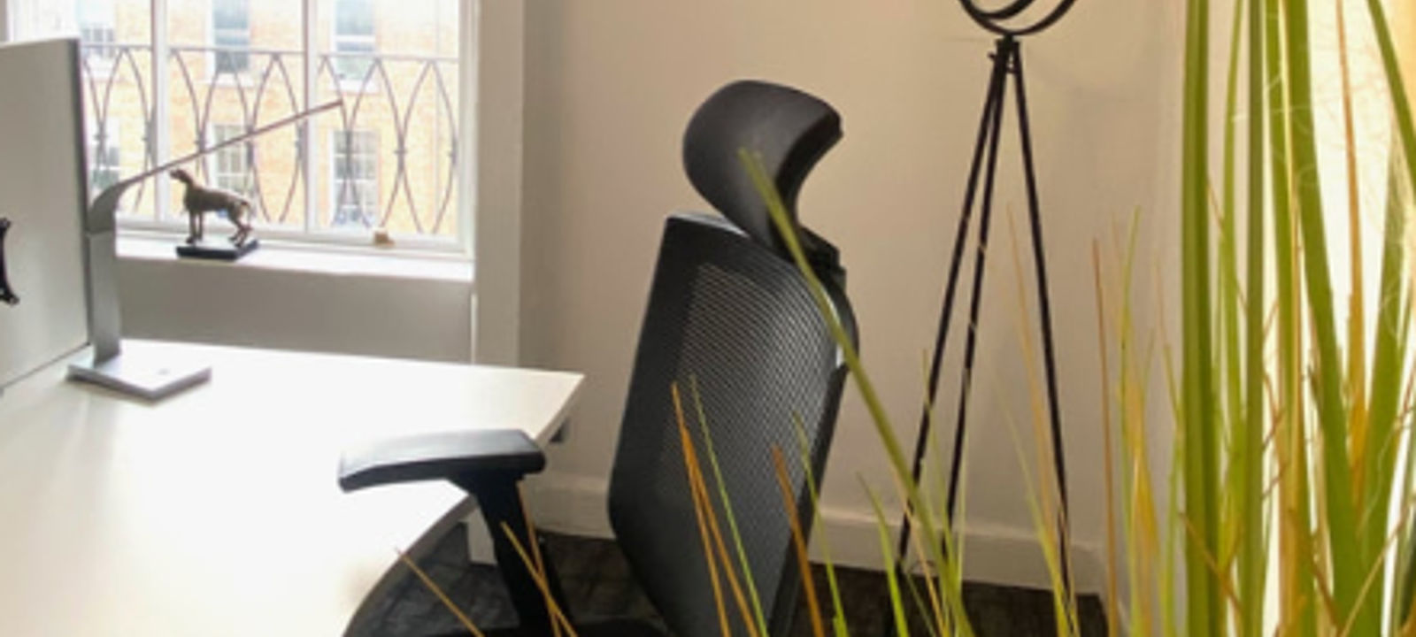 38 Fitzwilliam Street Upper, Dublin 2 - Image 1