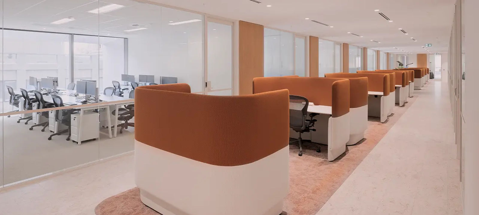 50 Bridge Street, Sydney - Image 1