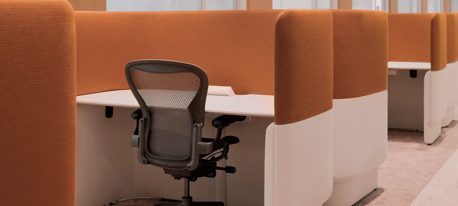 50 Bridge Street, Sydney - Image 1