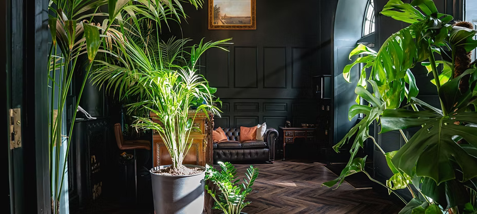29 Queen Square, Bristol - Image 1