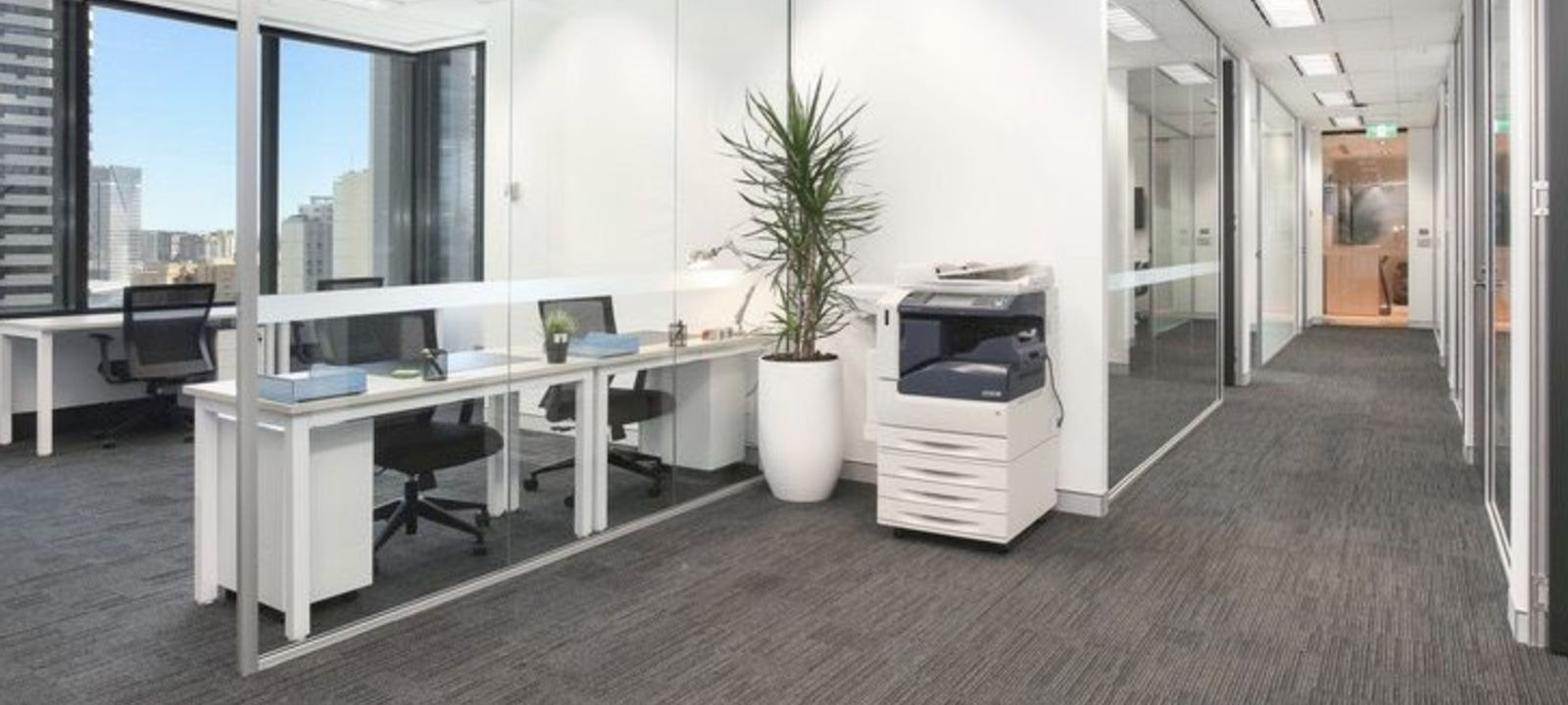 338 Pitt Street, Sydney - Image 1