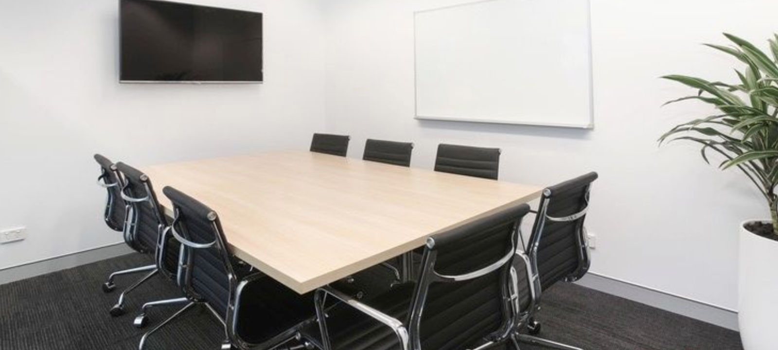 338 Pitt Street, Sydney - Image 1