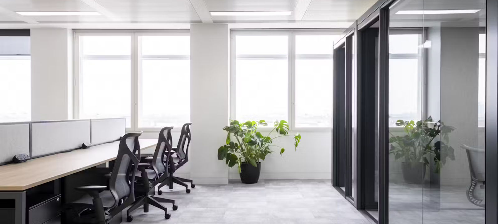 33 Cavendish Square, Marleybone - Image 1