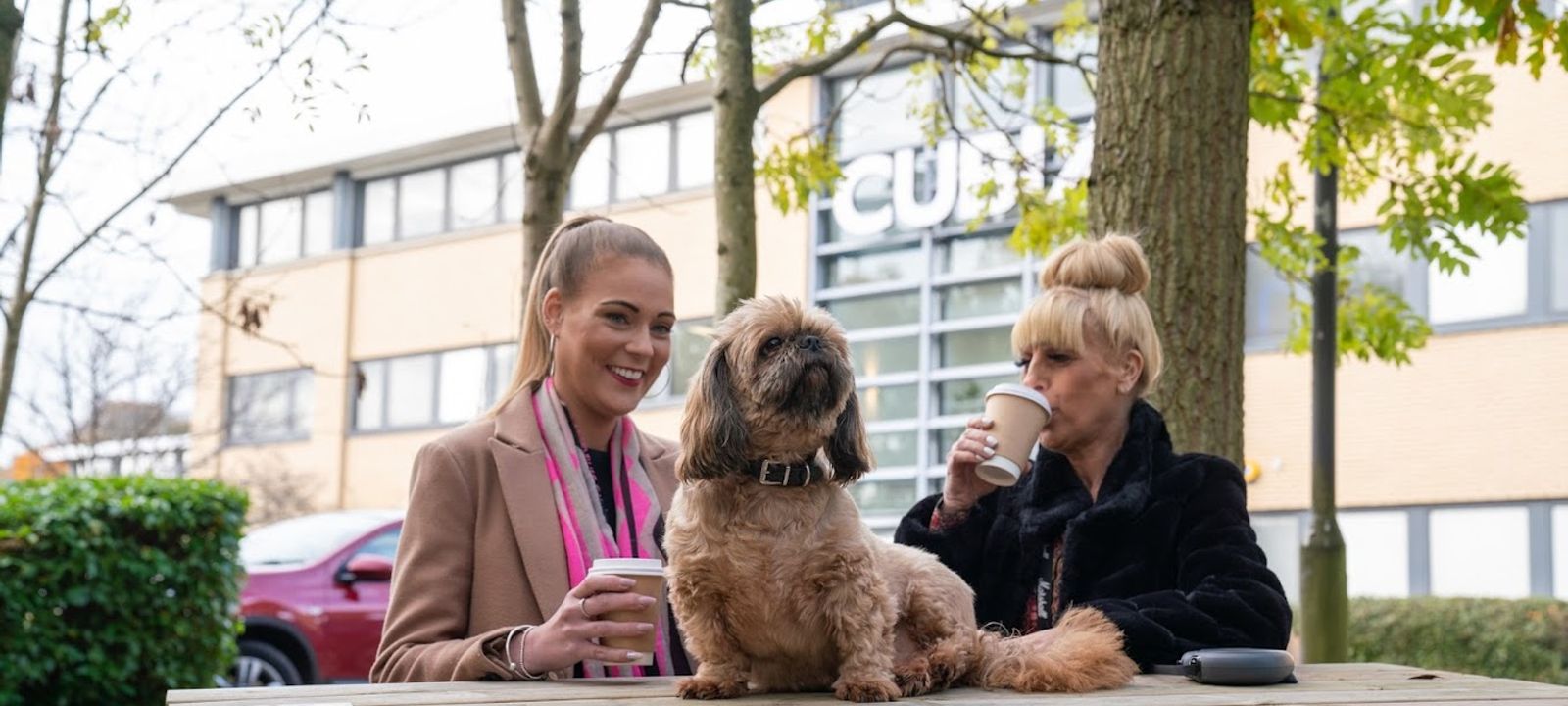 Capital Drive, Linford Wood - Image 1