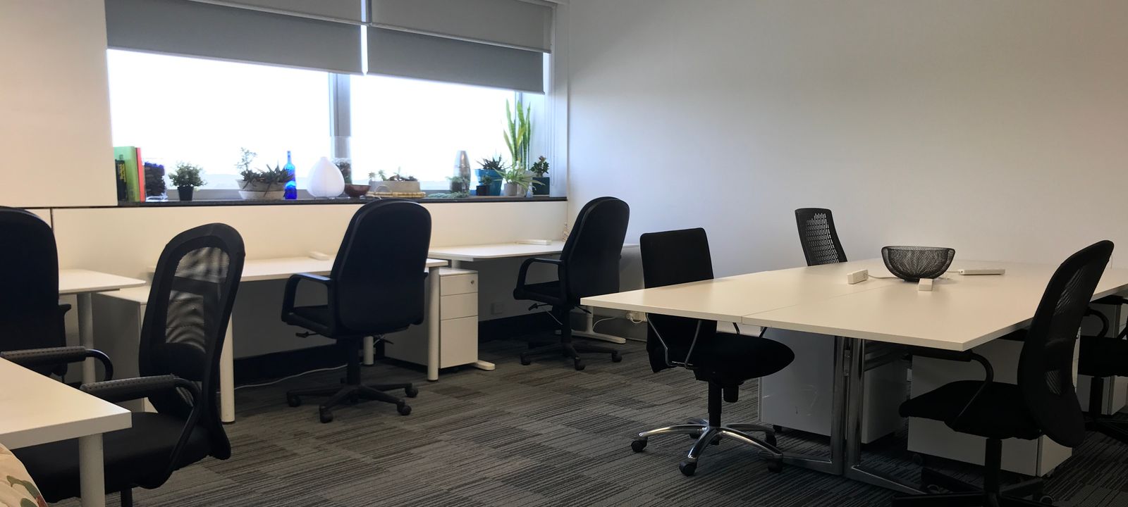 55 Chandos Street, St Leonards - Image 1