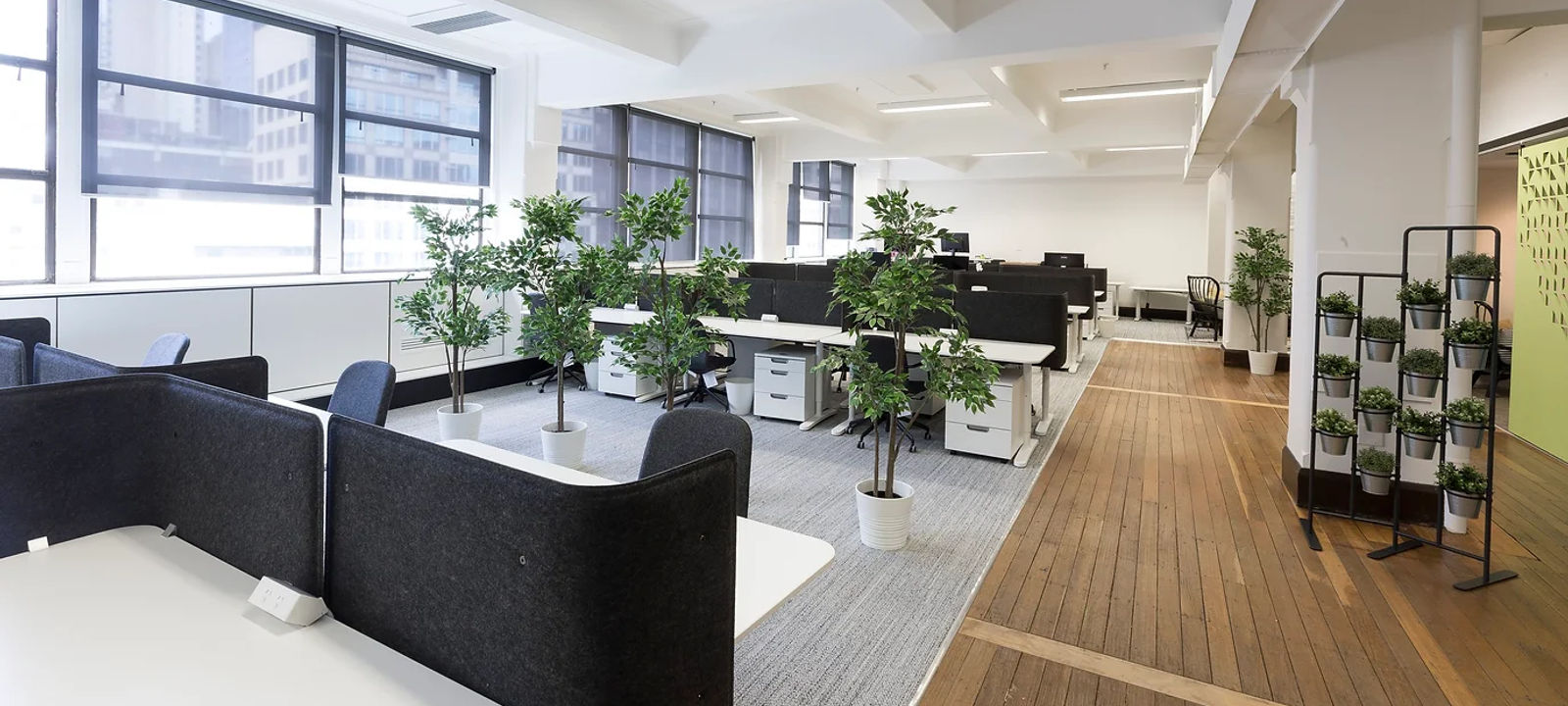 11 York Street, Sydney - Image 1