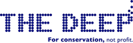 The Deep Business Centre logo