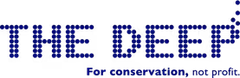 The Deep Business Centre logo