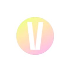 Velt Studio logo