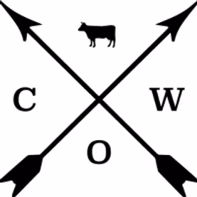 Logo Of Co.W