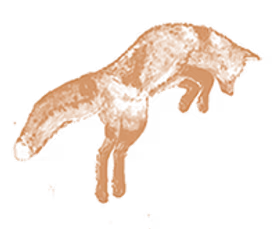 Barnfox company logo