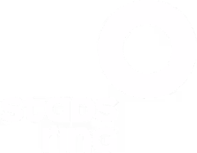 Stadsring company logo