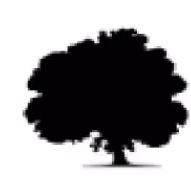 Meadow Creek Business Center company logo