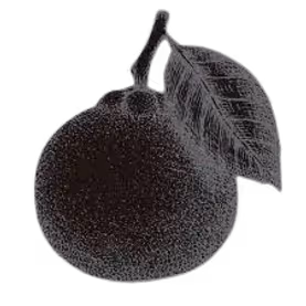 Orenge Durham company logo