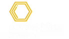 Connect Hive company logo