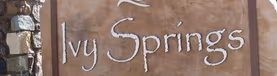 Ivy Springs Executive Suites Logo Of Ivy Springs Executive Suites