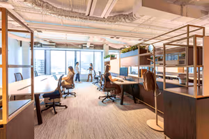 1 Person Virtual Office