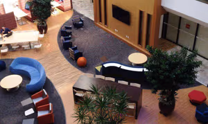 1 Person Virtual Office