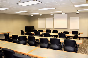 1 Person Virtual Office