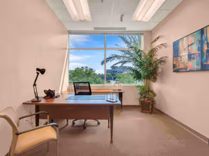 1 Person Virtual Office