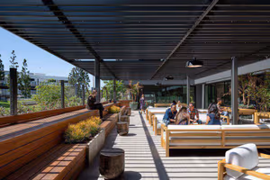 1 Person Virtual Office