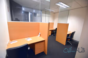 1 Person Virtual Office