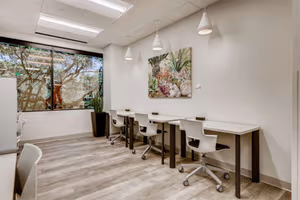 1 Person Private Office