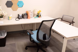 1 Person Private Office