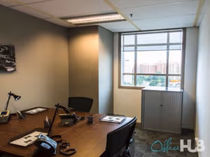 1 Person Virtual Office