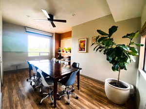 1 Person Virtual Office